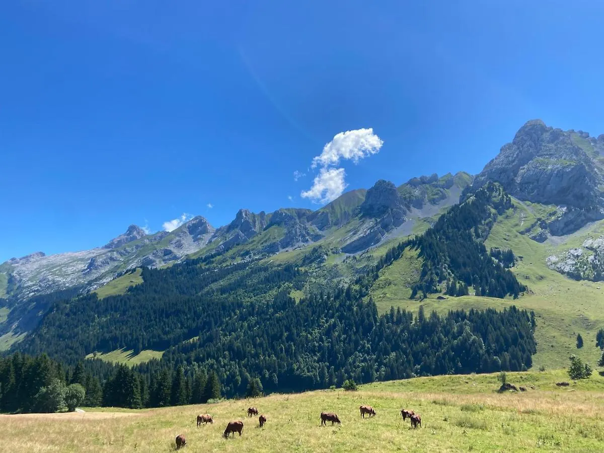 Chalet Lyoba Le Grand-Bornand